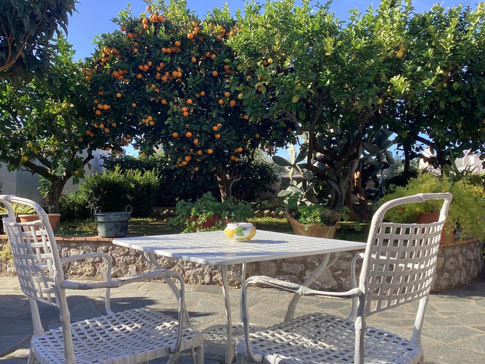 B&B Casetta Minghitto Anacapri  Exteriér fotografie